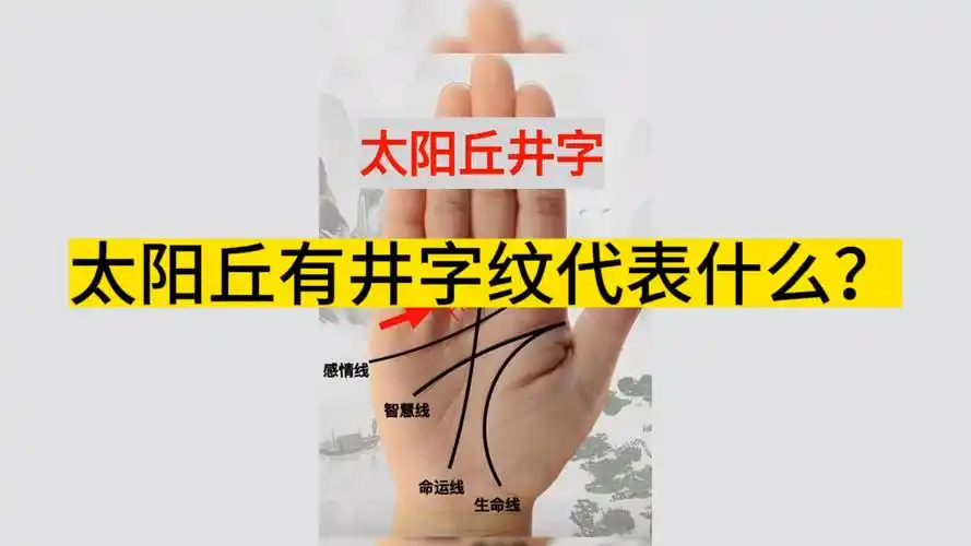 金星丘纹路图解_手相金星丘纹图解_金星丘饱满的手相漂亮