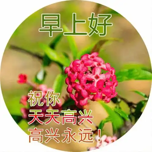 最新大家早上好图片带字 最漂亮早上好图片带字