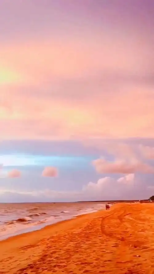 粉红色的回忆 这片美景送给你