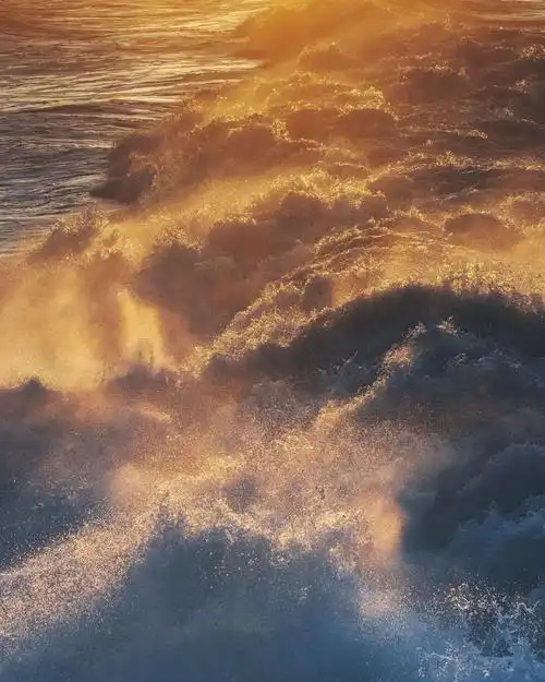 imagecreditinstagram@yosigo_yosigo特别声明:以上文章内容仅代表