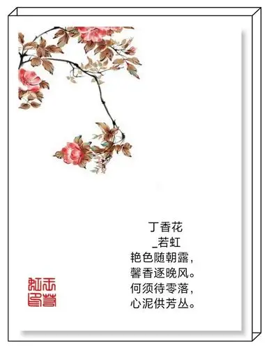 丁香花__王若虹