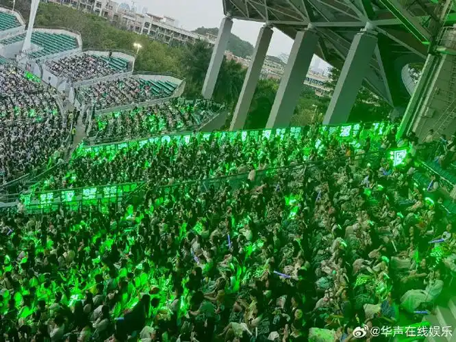 王源绿海#网友晒出巅峰盛典王源粉丝应援图,漫席遍场绿海壮观,人气