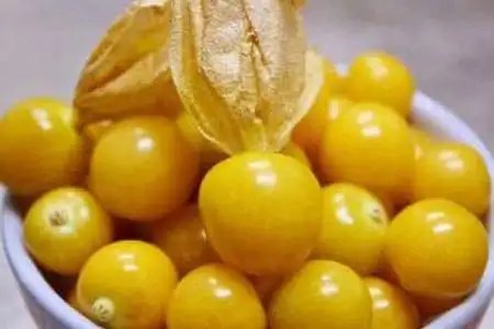 这种野生水果竟可补肾 男人们不吃就亏了