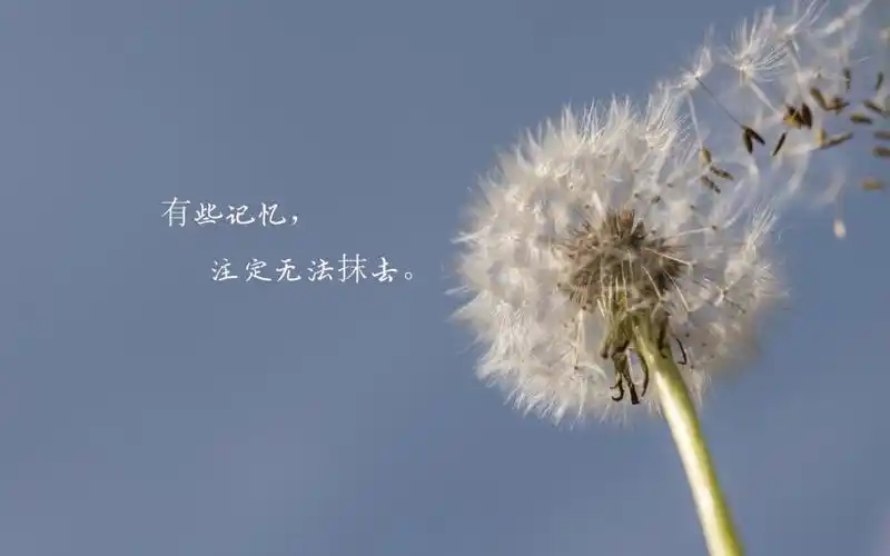 上一组 上一张 7/9张图片 下一张 下一组 相关专题 文字图片伤感图片