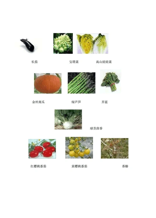 蔬菜图片大全(附名称)