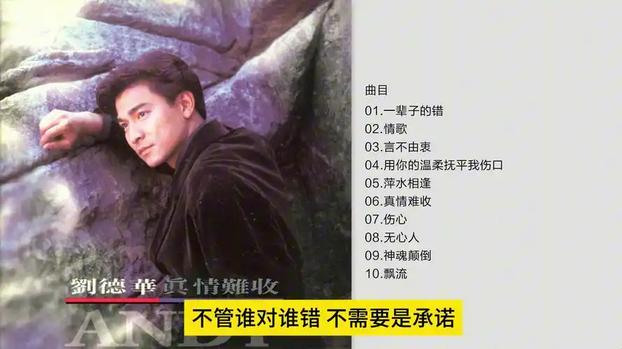 无损音质 刘德华-《真情难收》1993[flac cue]