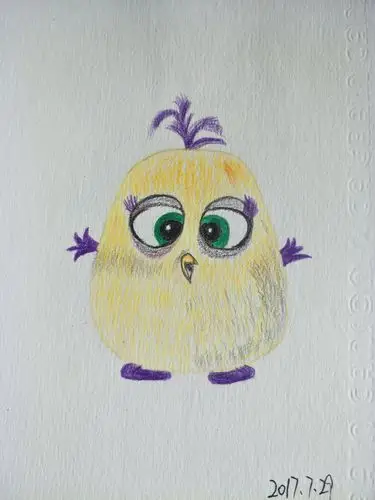 彩铅练习:萌萌的小鸡