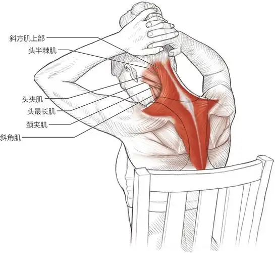 肩颈颈椎精准拉伸合集