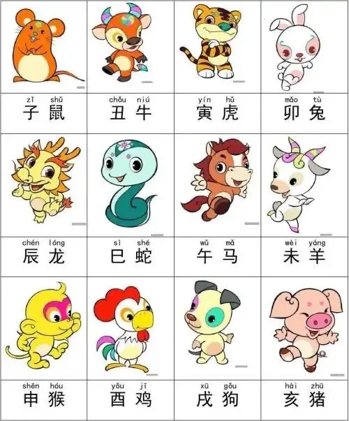 我们来看下十二生肖每种动物都长什么样子呢.