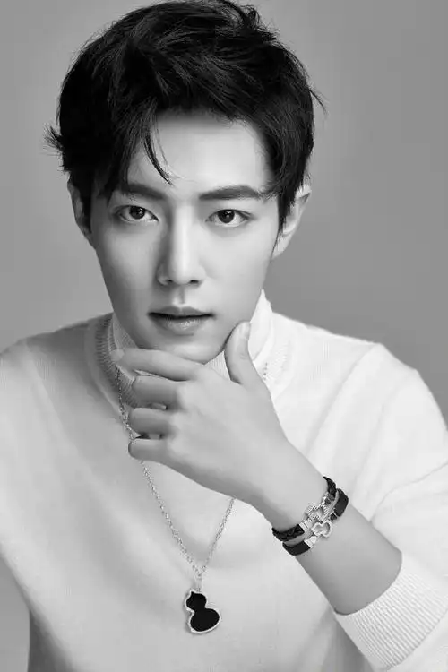 肖战简洁俊朗时尚写真图片45