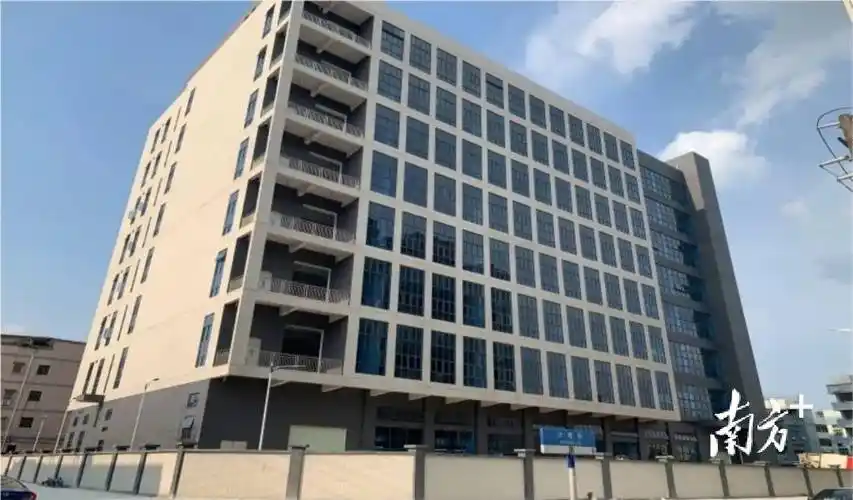 聚焦百千万工程埔心村旧改更新拓空间惠民增收促振兴