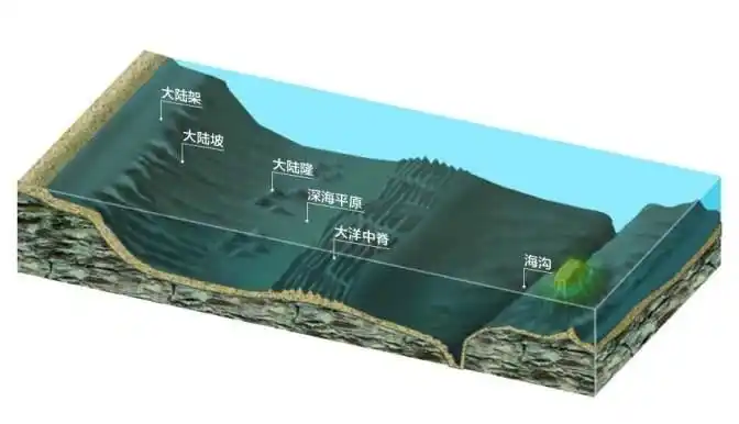 在广阔的海洋中,为什么有些海域渔业资源特别丰富,形成渔场?