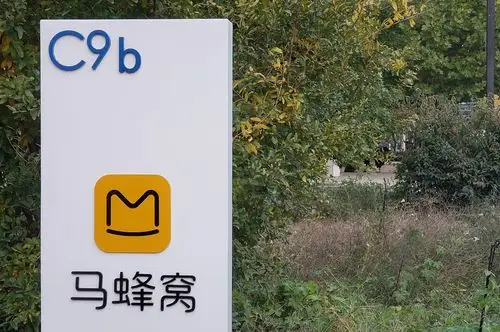 马蜂窝的蜜,腾讯的局_旅游