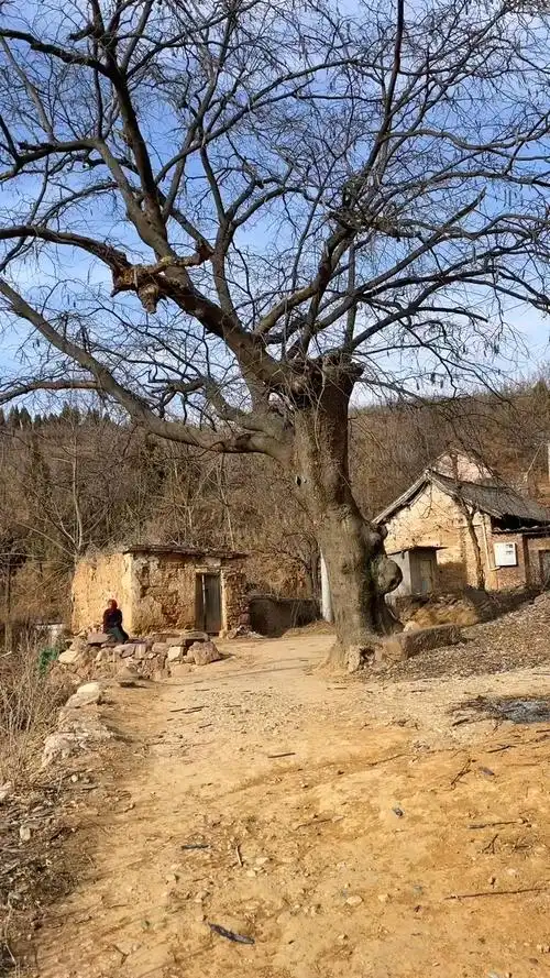 乡愁太行 深山人家