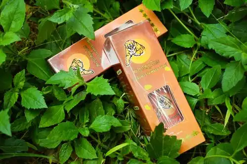 当然也可以选择泰国《哈奴曼十八籽油》.泰国老虎油的功效与作用