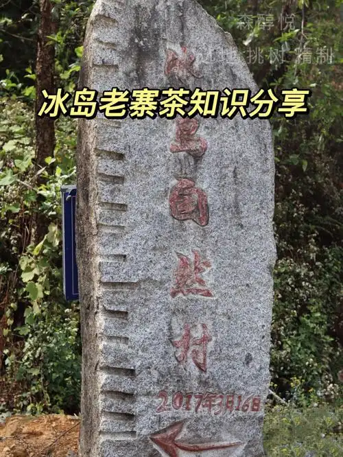 冰岛老寨茶知识分享