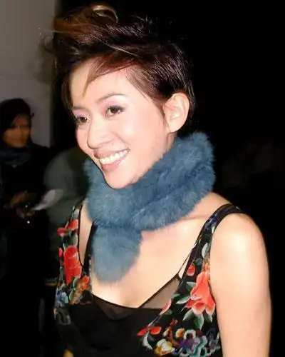 梅艳芳:歌手,演员享年40岁.