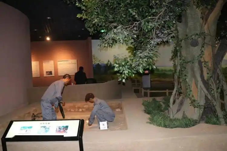 含山博物馆探秘凌家滩寻找真玉龙