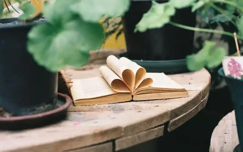 精选恬静生活记录唯美摄影桌面壁纸