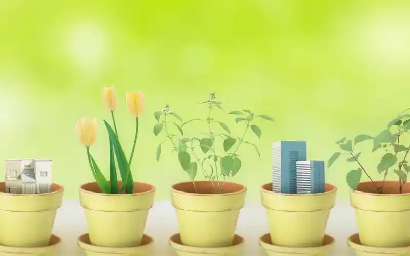 绿色小清新保护视力桌面壁纸