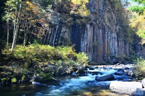 吉林望天鹅风景区