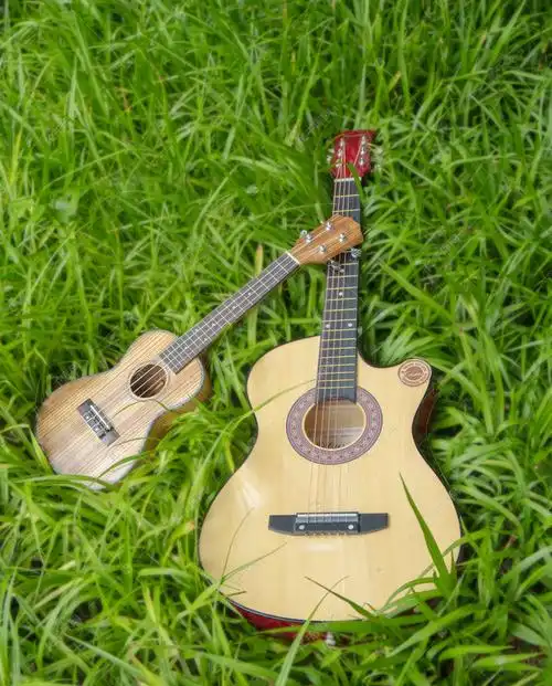 吉他尤克里里摄影图