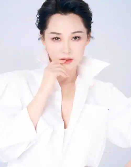 原创至今未婚的10位内地大龄女星各有各的苦衷最大53岁最小38岁