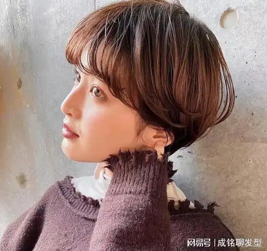 短发的四大类型了解下,所有款式都包括在内|发型|脸型|中款|波波头