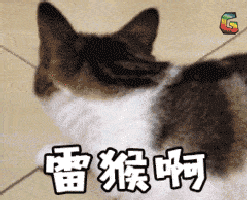 雷猴啊gif你好gifsoogifgifsoogif出品gif