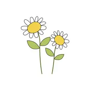 简约向日葵