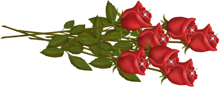 【挂件-装饰及分隔线素材篇】精美艳丽的大朵花卉分隔线 - 浪漫人生