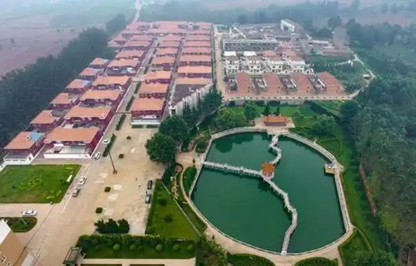 在这个过程中,南山村的领导者起到了关键的作用.