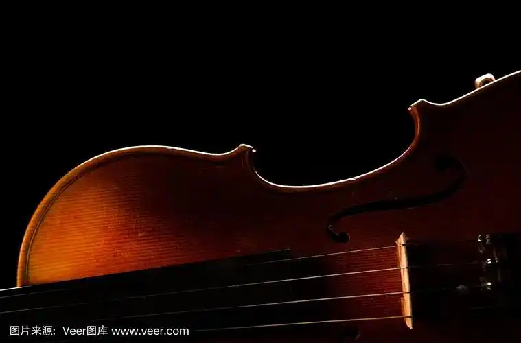 侧面木制部分复古小提琴在一个黑色的背景