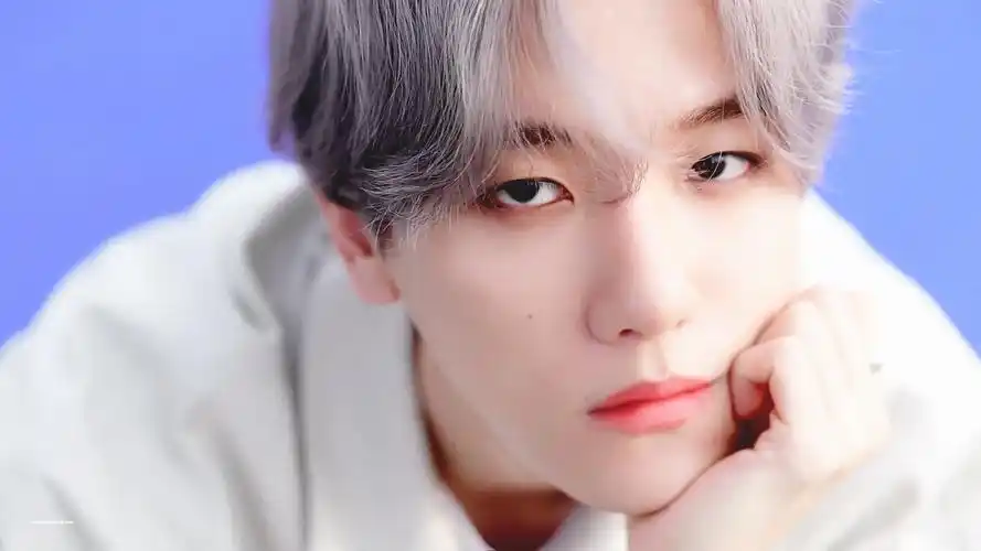 exo 边伯贤 cr:11degreecelsius - 堆糖,美图壁纸兴趣社区