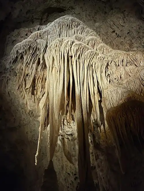 蝙蝠洞深度300米