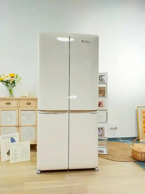 大容量高颜值的十字门冰箱