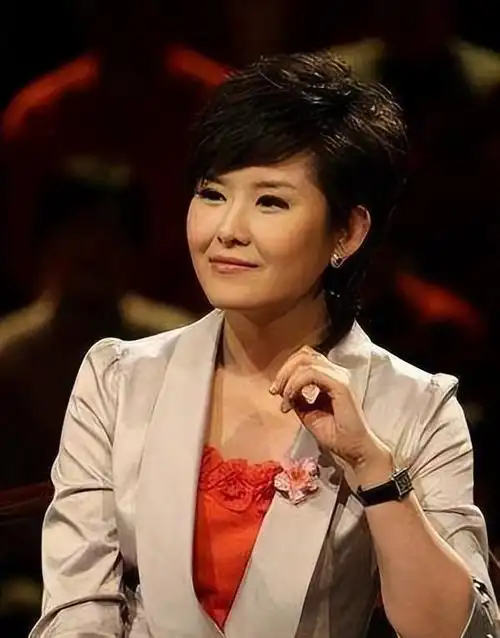 网友:王宁,才是目前央视一姐!_网易订阅