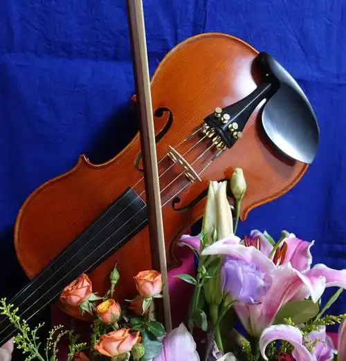 鲜花和小提琴