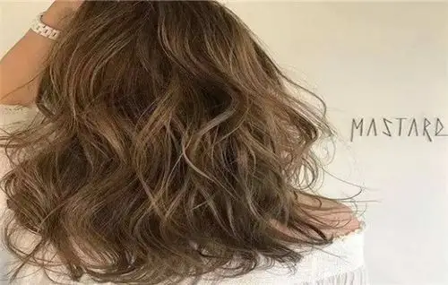 第一种:香草棕色;这款香草棕色作为首选推荐的颜色,质感十足,非常的