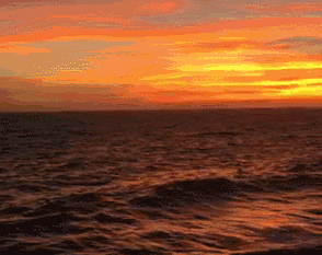 294_233gif 动态图 动图