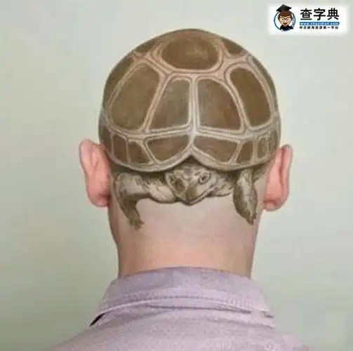 这发型是想当龟公吗 - 搞笑图片 - 查字典