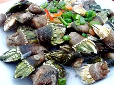 极品海鲜狗爪螺