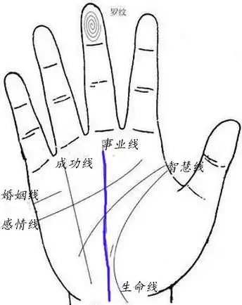 cmp冠军客户端下载 面相大全 事业线图解