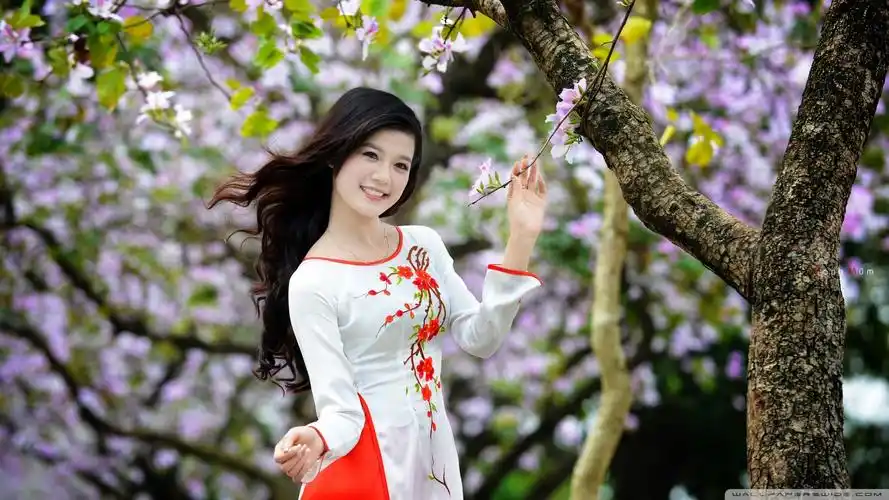 摄影,áo dài,women,asian,vietnamese,áo dài,壁纸,高清壁纸人物