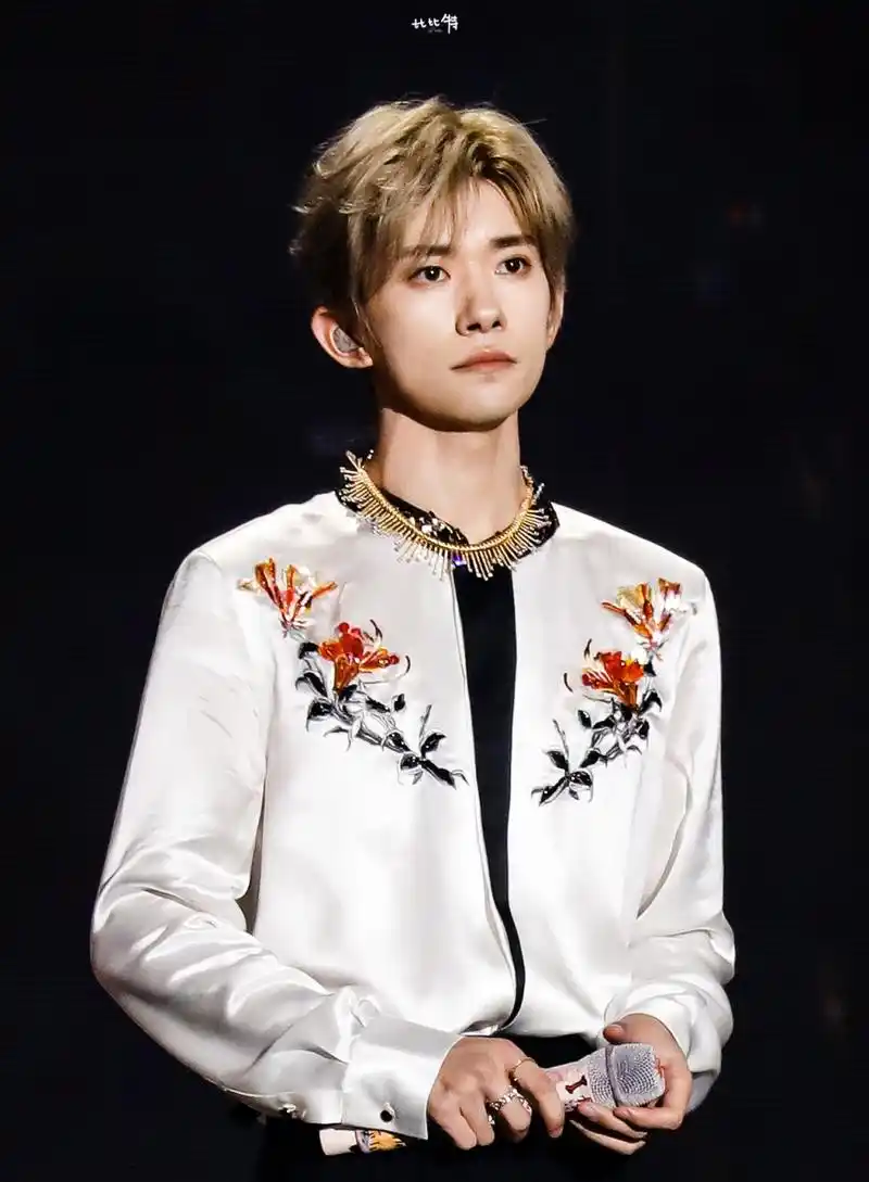 tfboys十周年演唱会之易烊千玺生图来啦!