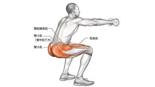 深蹲主要练哪里的肌肉深蹲的好处有哪些