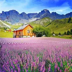 高清头像风景唯美小意境图片疏影横斜水清浅