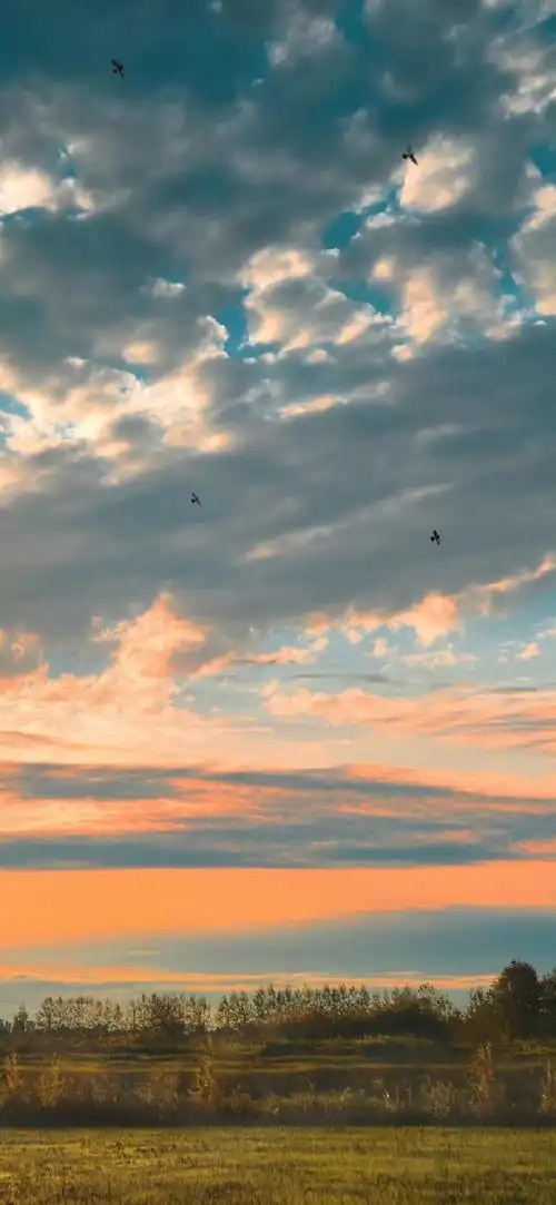 绝美壁纸无水印