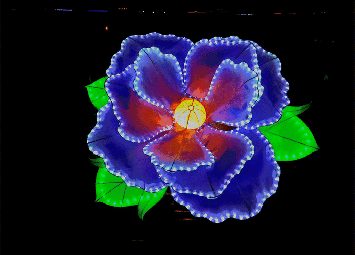 1067_768gif 动态图 动图