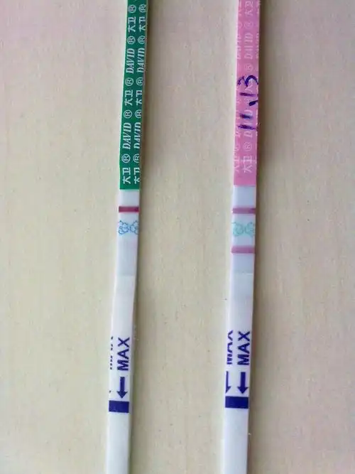 13号粉印,排卵纸阳.